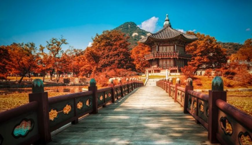Lý do bạn nên đi du lịch đất nước Hàn Quốc vào mùa thu 2